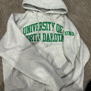 Signature Gray Hoodie with Green University Print